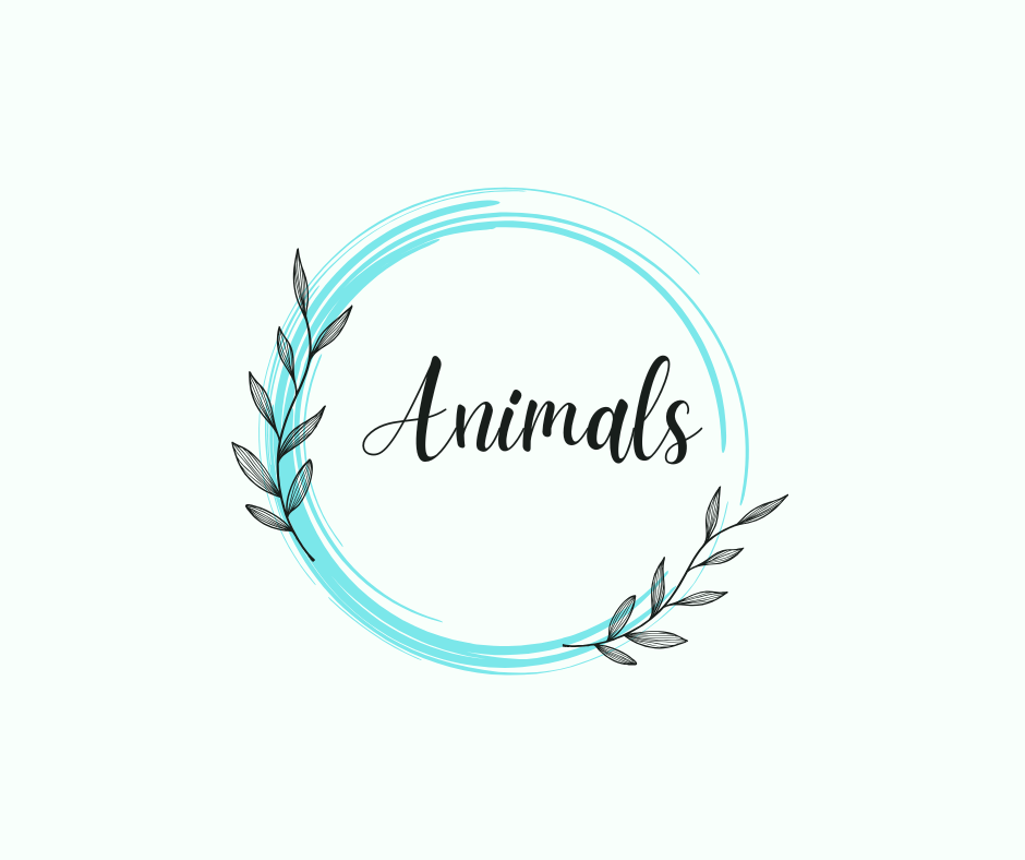 Animals